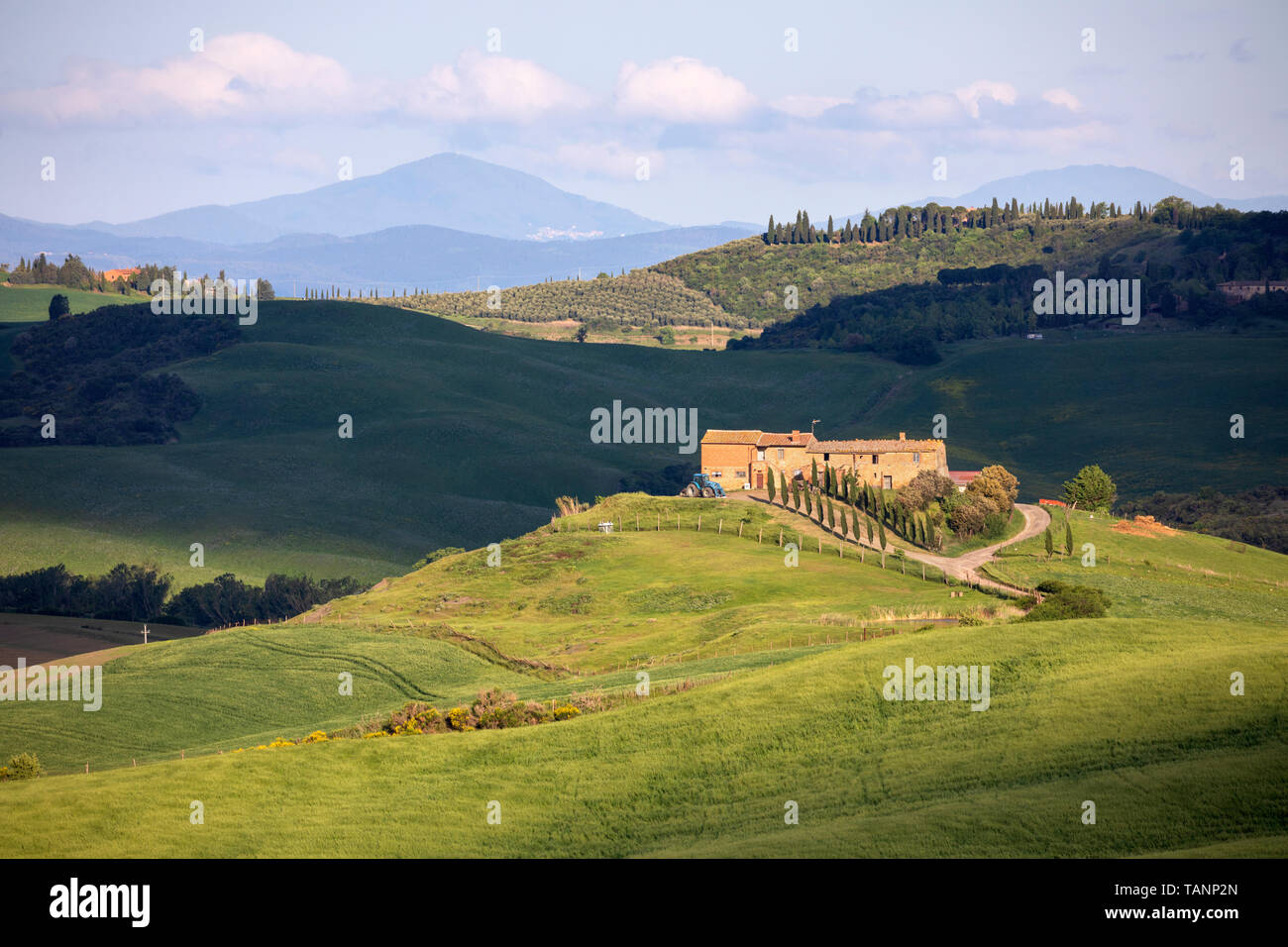 Aislada granja toscana en rolling paisaje toscano, San Quirico d'Orcia, provincia de Siena, Toscana, Italia, Europa Foto de stock
