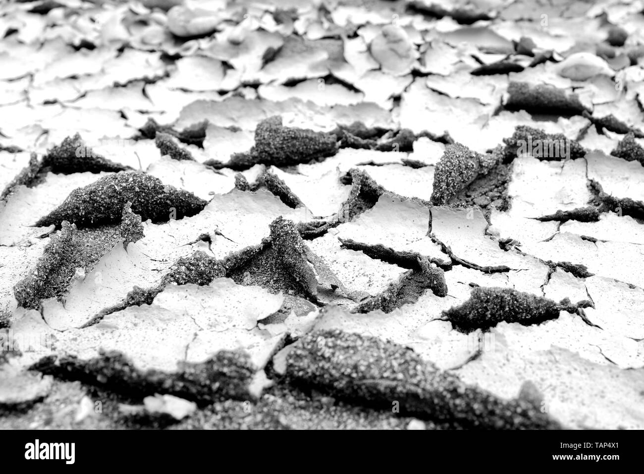 Agrietadas y tierra quemada en blanco y negro Foto de stock