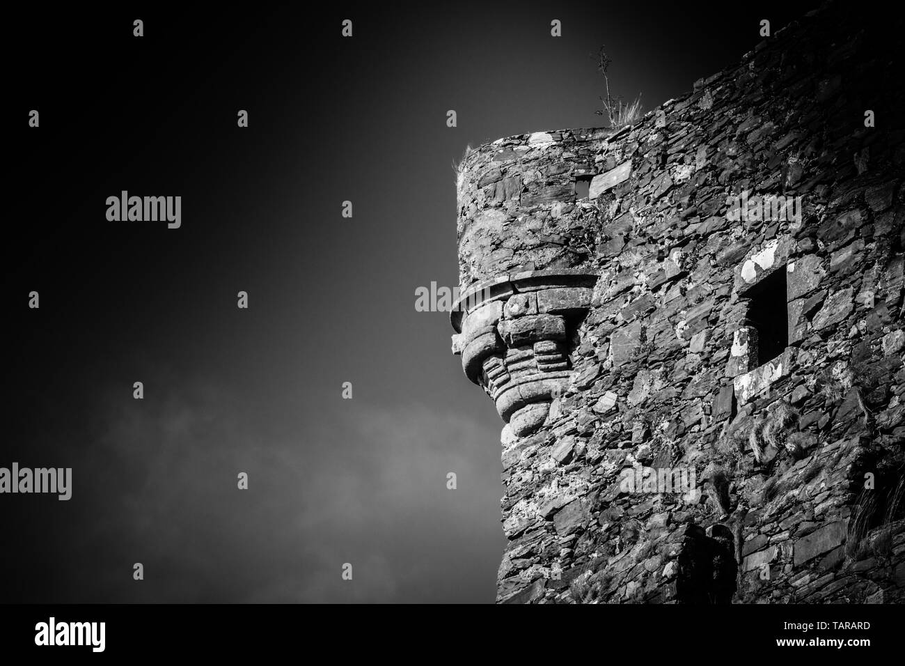 Detalle de un antiguo castillo o fortaleza en espectaculares en blanco y negro con espacio de copia Foto de stock