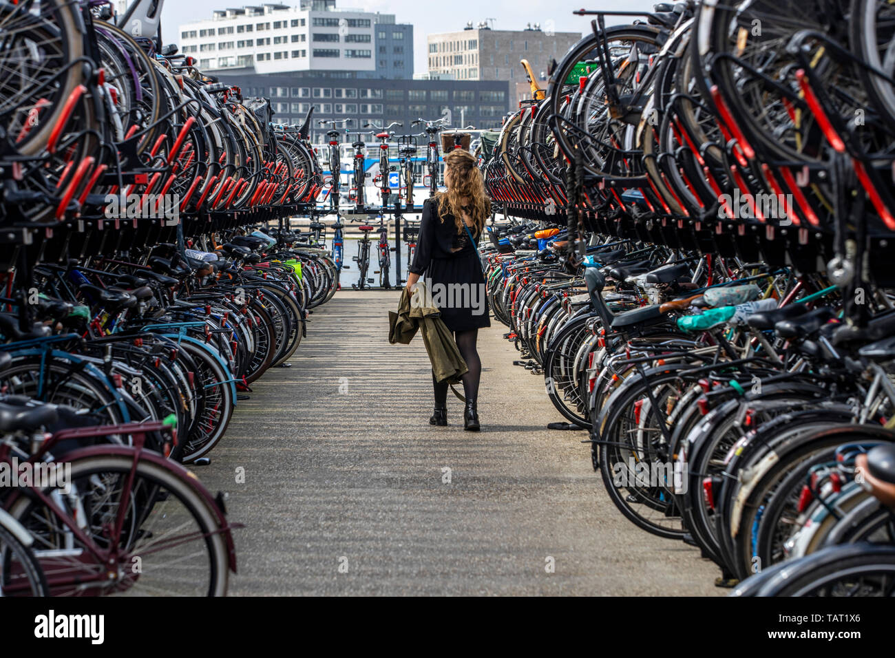 Parking de bicicletas cerca de la estación central de Ámsterdam Fotografía  de stock - Alamy