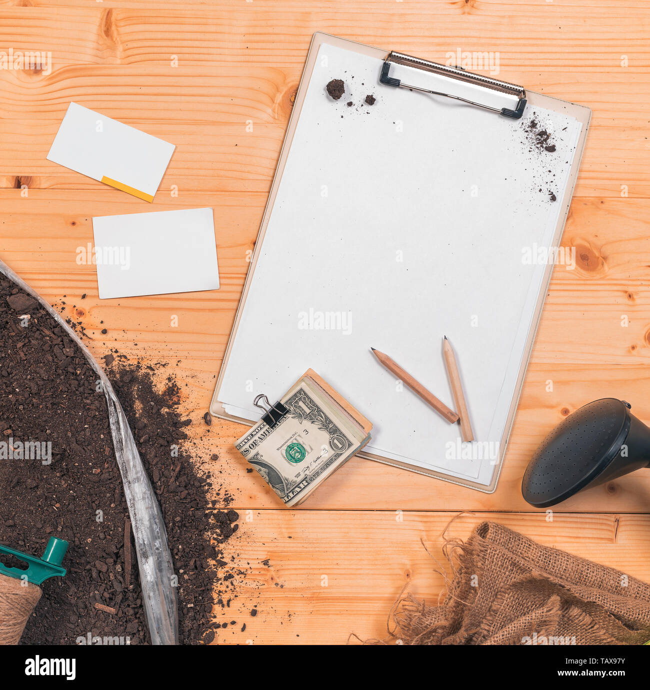 La Jardinería orgánica y la agricultura portapapeles notas maqueta vista superior, papel en blanco como espacio de copia sobre jardín escritorio con algunas macetas de suelo y planta de homegrown cu Foto de stock