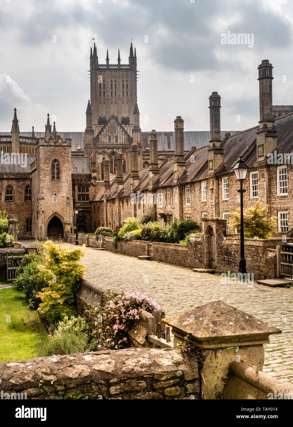 Los Vicarios cerca ciudad de Wells Somerset UK Foto de stock