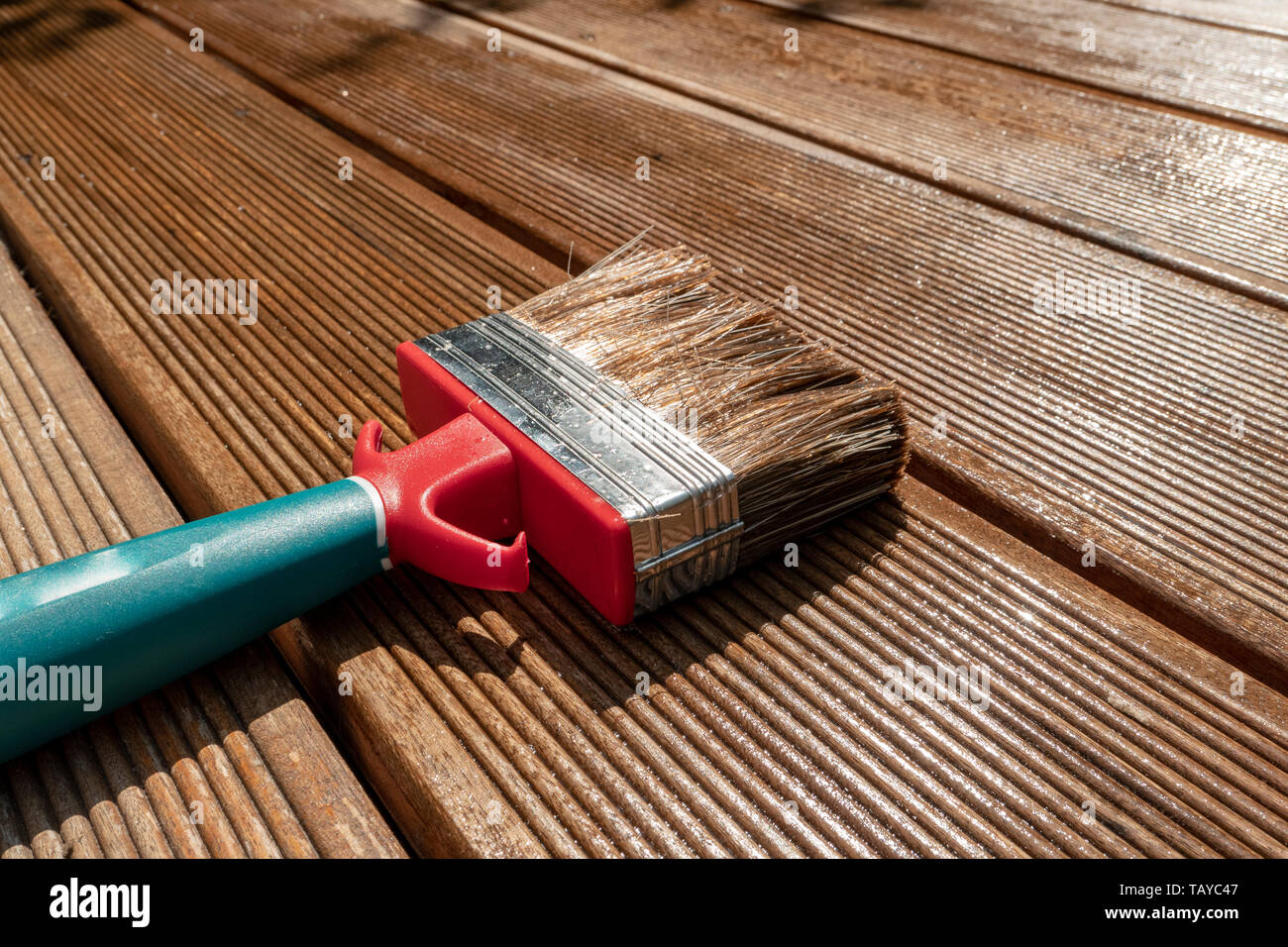 Los pinceles en el sol en la terraza de madera pintada con barniz Foto de stock