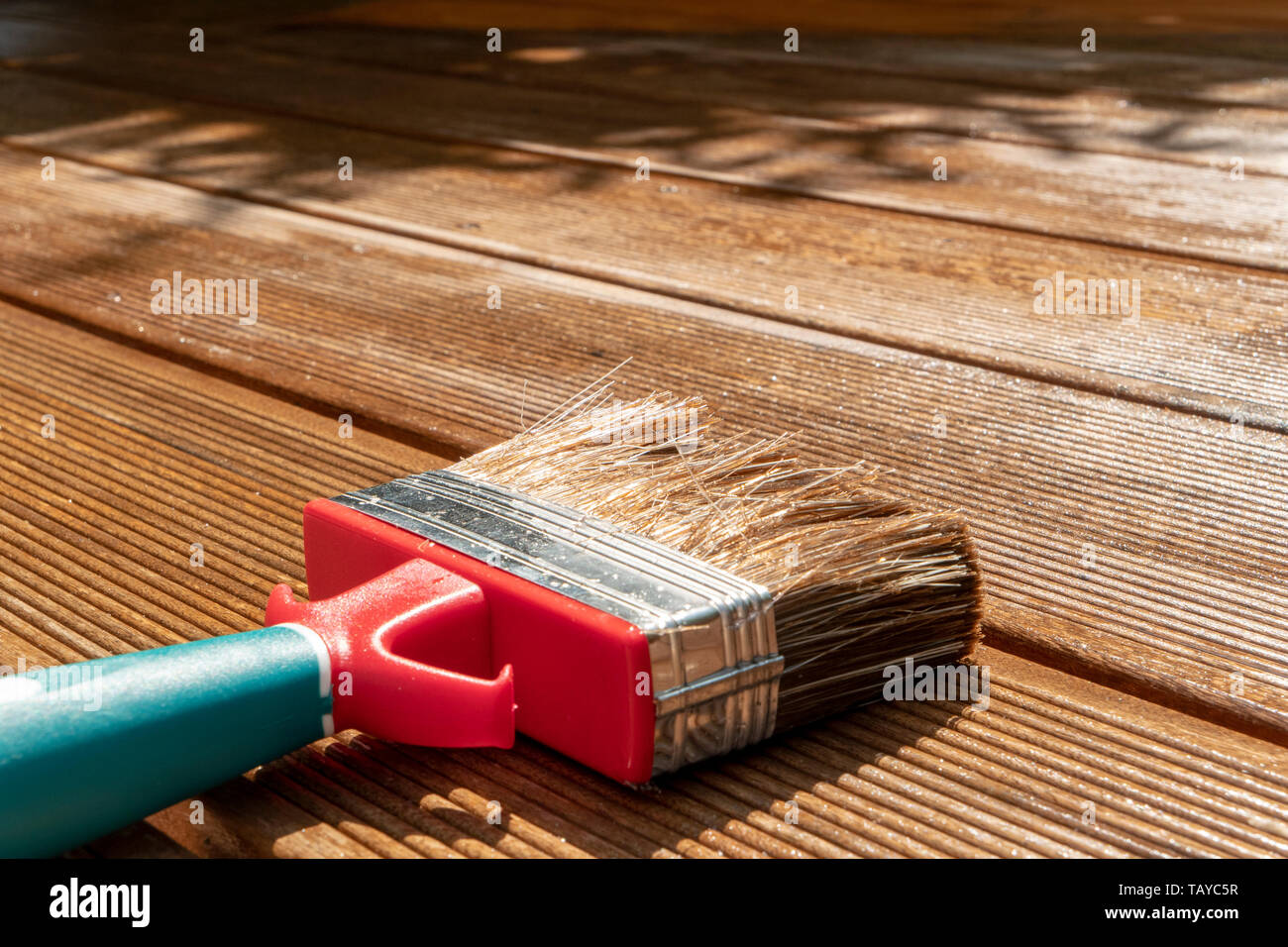 Los pinceles en el sol en la terraza de madera pintada con barniz Foto de stock