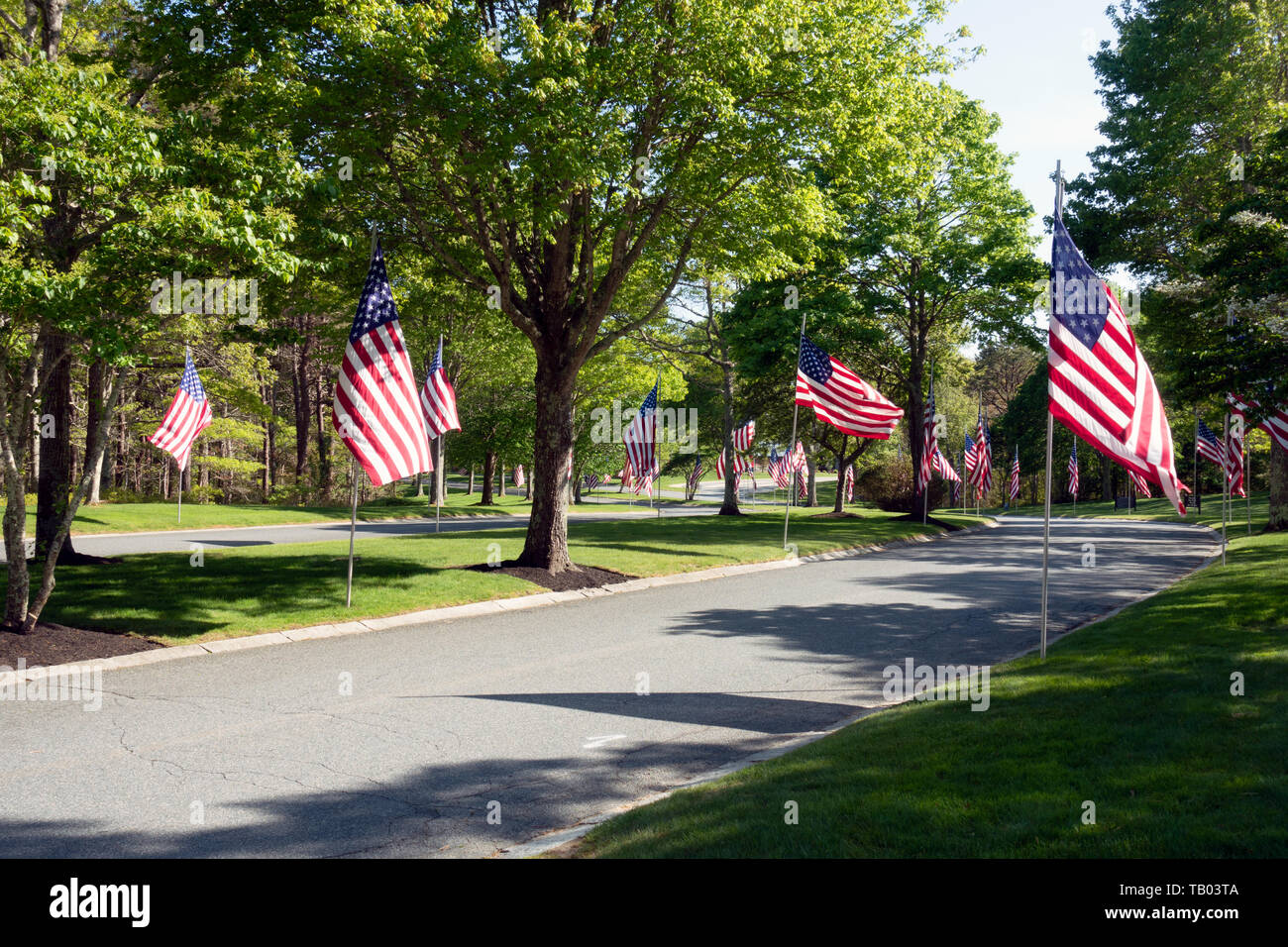 Carretera bordeada de bandera en el Cementerio Nacional de Bourne, Massachusetts por Memorial Day Foto de stock