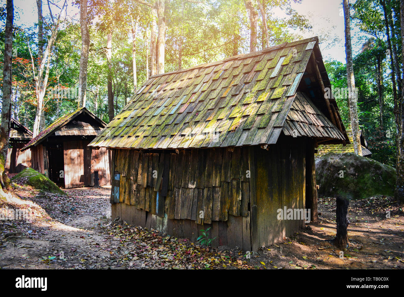 Antigua villa histórica casa de madera cabaña cabaña en el verde bosque