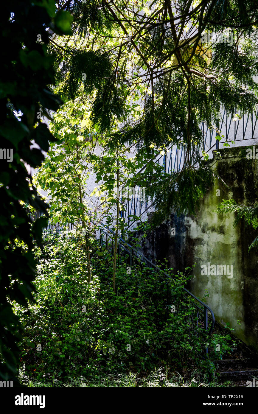 Vista de una primavera abandonado jardín que rodea la casa, un hombre muerto, Lyon, Francia. Foto de stock