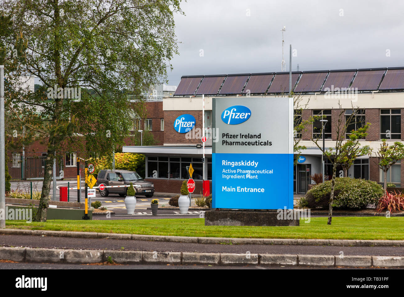 Ringaskiddy, Cork, Irlanda. El 29 de mayo, 2019. Pfizer Pharmaceuticals está marcado este mes su 50 aniversario en Irlanda. El empleo ha crecido desde Foto de stock