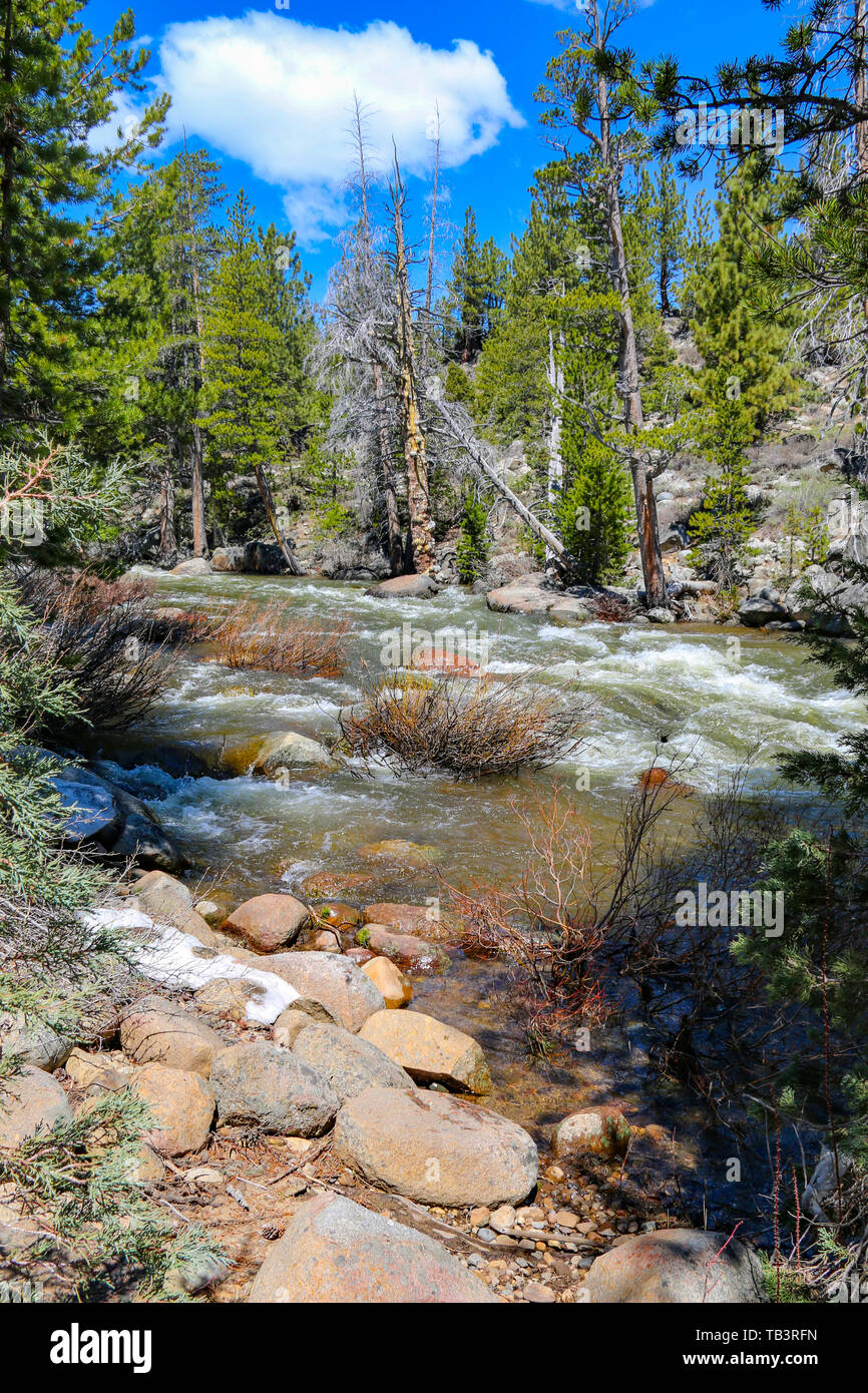 Junction creek fotografías e imágenes de alta resolución Alamy