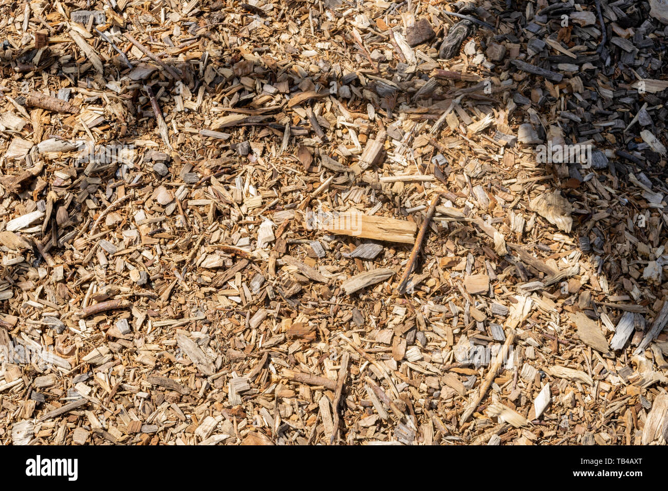Las astillas de madera y pequeños trozos de madera seca que yacía en el  suelo Fotografía de stock - Alamy