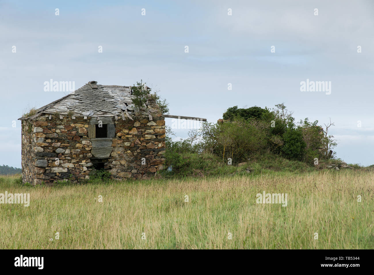 Viejas casas abandonadas en un campo en las montañas de Asturias, España. / Altes aufgegebenes Haus auf einem Gebiet in den Bergen von Asturien, Spanien. Foto de stock