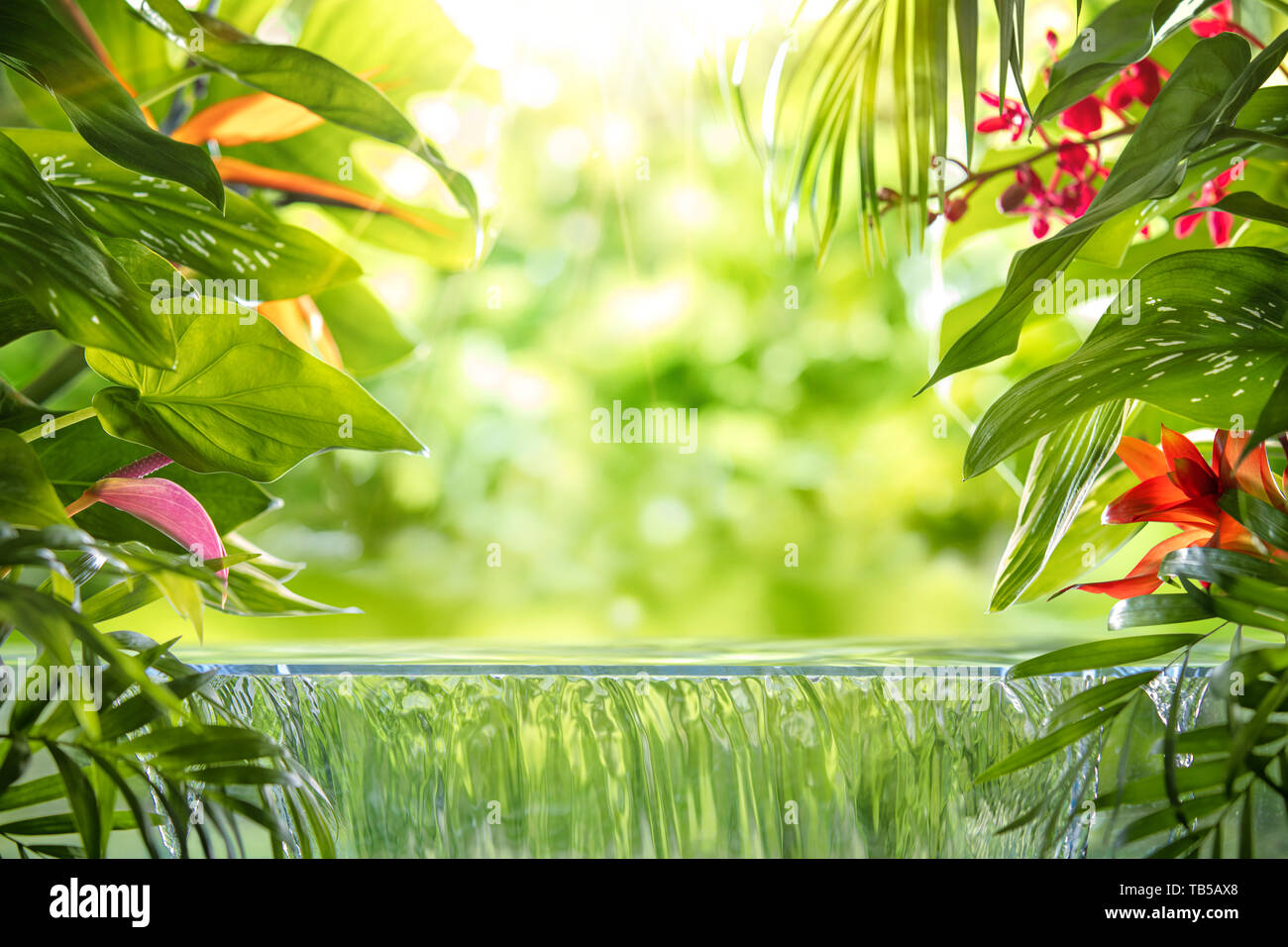 Hojas de palmeras tropicales, flores y una pequeña cascada. Foto de stock