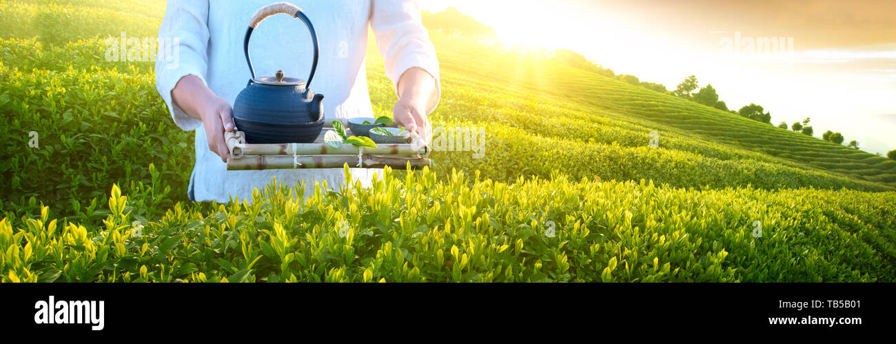 Mujer sosteniendo la tetera tazas de té jardín,sirviendo té concepto Foto de stock