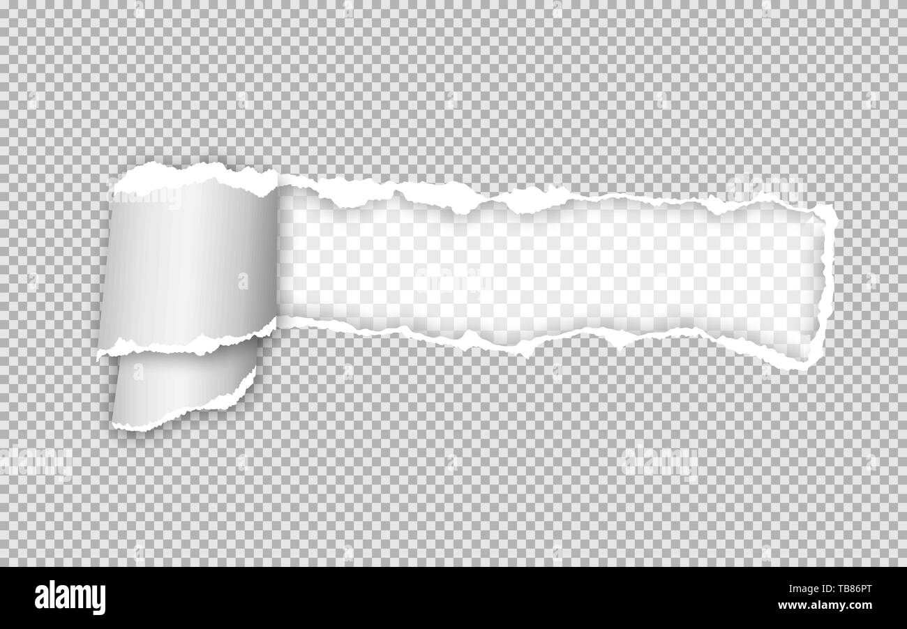 Desgarrado y realista de la tira de papel torcido. Borde de papel rasgado.  Ilustración vectorial Imagen Vector de stock - Alamy