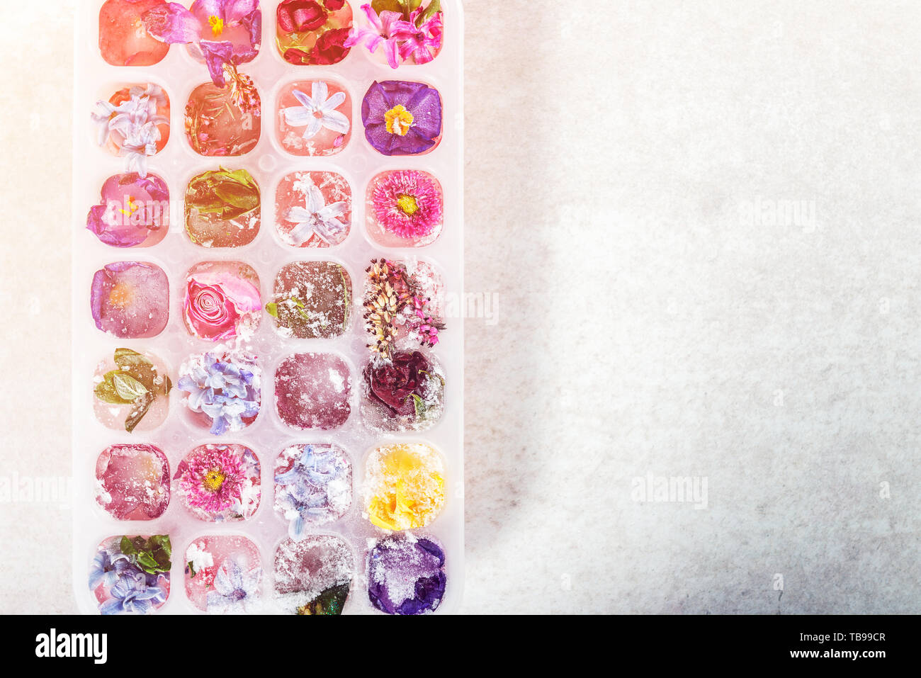 Bandeja con flores congeladas en cubitos de hielo sobre fondo gris, vista superior, espacio para copiar texto Foto de stock