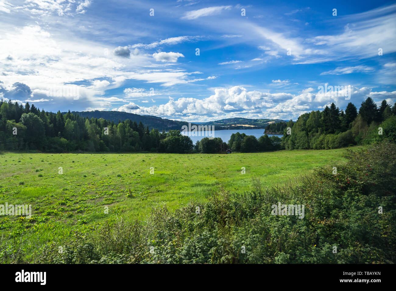 El paisaje noruego en el condado de Hedmark durante el verano cerca del lago Mjosa, vistos desde el tren escénico conexión de Oslo a Trondheim Foto de stock
