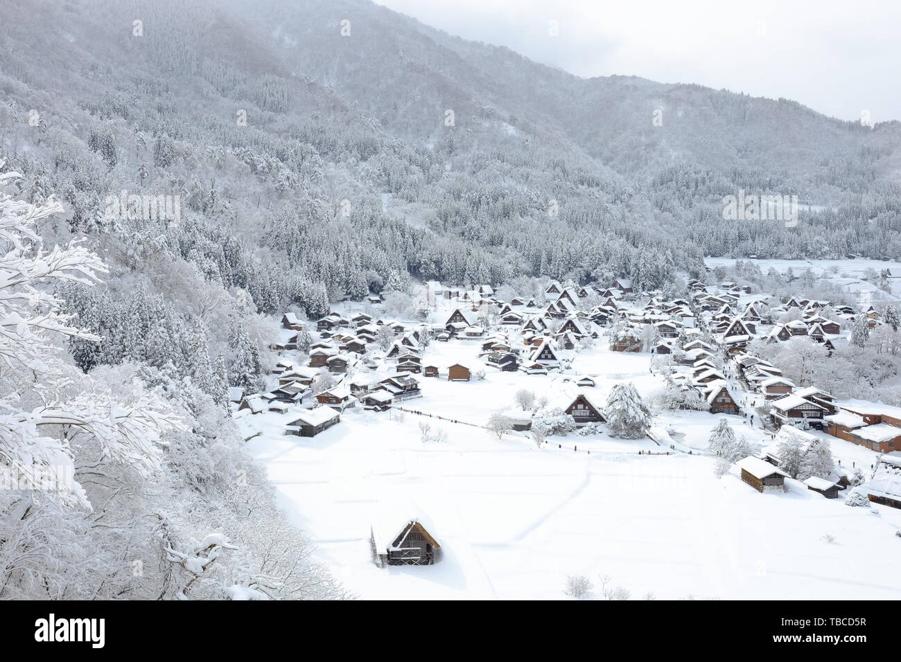 Shirakawago aldea en invierno, la nieve Foto de stock