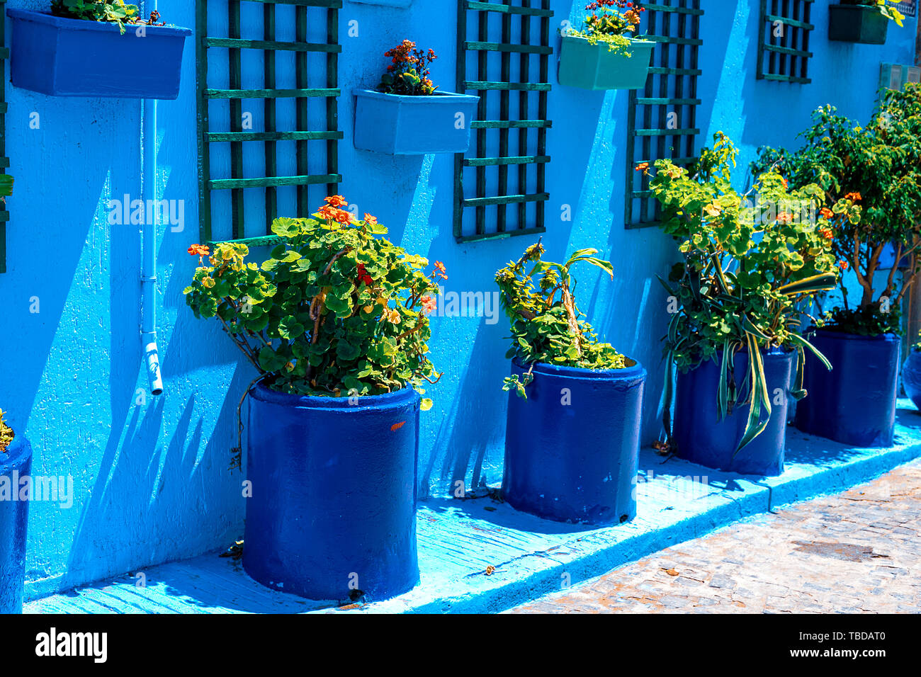 Macetas de colgar en pared azul patio cordobés