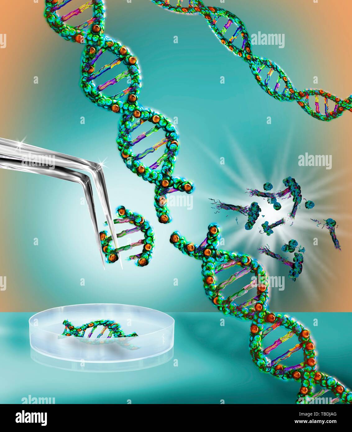 Генная инженерия crispr. Crispr и генная терапия для улучшения жизни. Редактирование генома человека. Манипуляция с генами. Crispr и генная терапия для улучшения жизни.