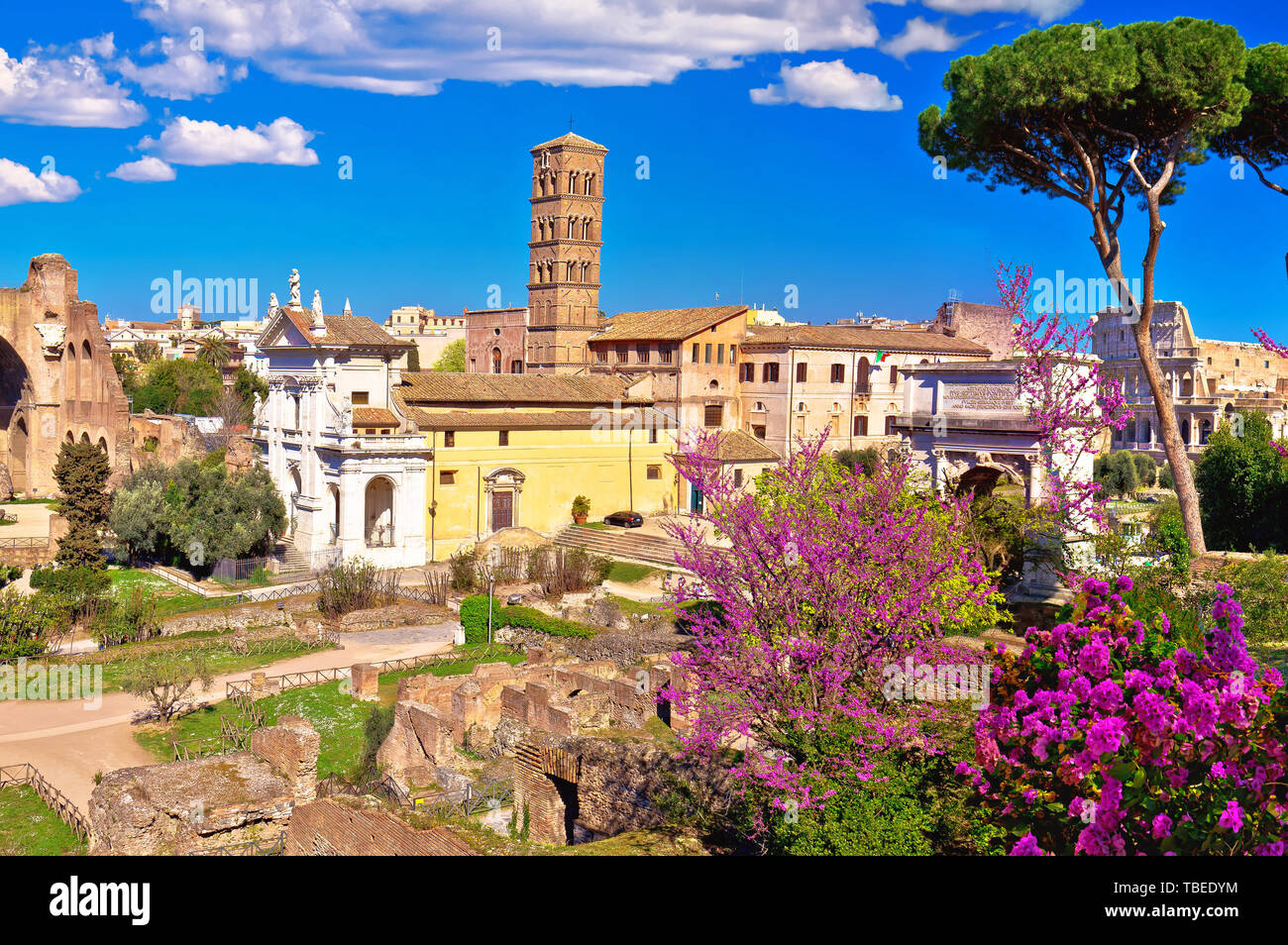 Primavera escénica vista panorámica sobre las ruinas del Foro Romano en Roma, capital de Italia Foto de stock