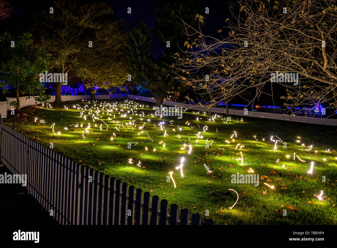 Exposiciones de luz en vivo en los Jardines Botánicos de Sydney durante la noche. Foto de stock