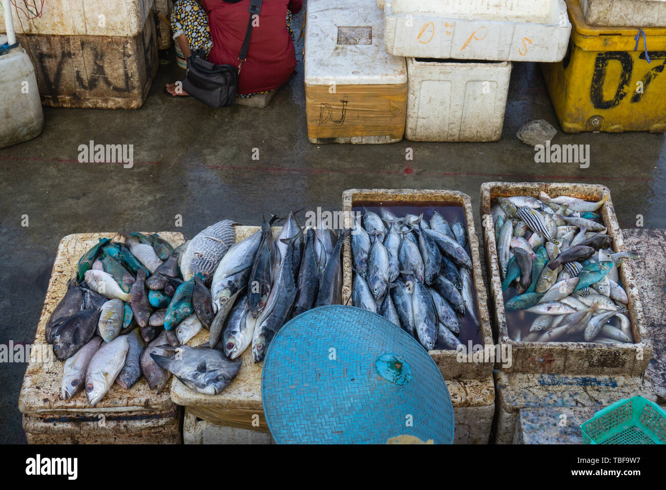 Los vendedores de pescado en el mercado de pescado de Jimbaran Bali. Él