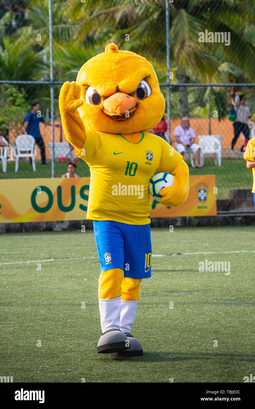 Río de Janeiro, Brasil. Desde el 01 de junio, 2019. Canarinha, la mascota  del equipo nacional de Brasil CBF llevando a cabo en la Escuela del equipo  de fútbol brasileño, en Barra