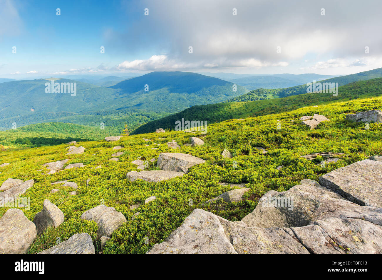 Las rocas en la ladera de hierba. hermoso paisaje en la soleada mañana de verano. bajo las nubes esponjosas colgar en la cima de la montaña Foto de stock