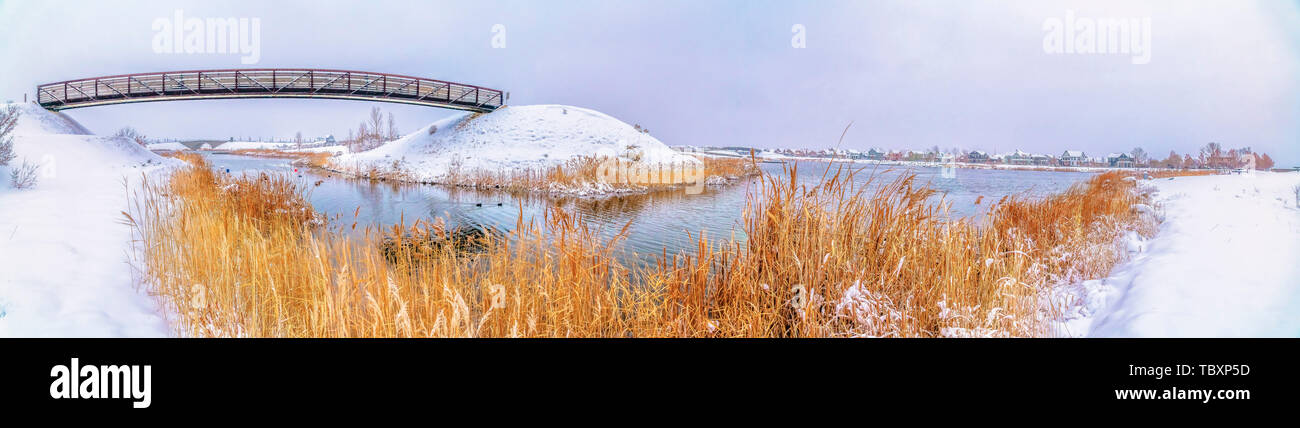 Exuberantes céspedes cubiertos de nieve en la orilla de un tranquilo lago plateado en invierno Foto de stock