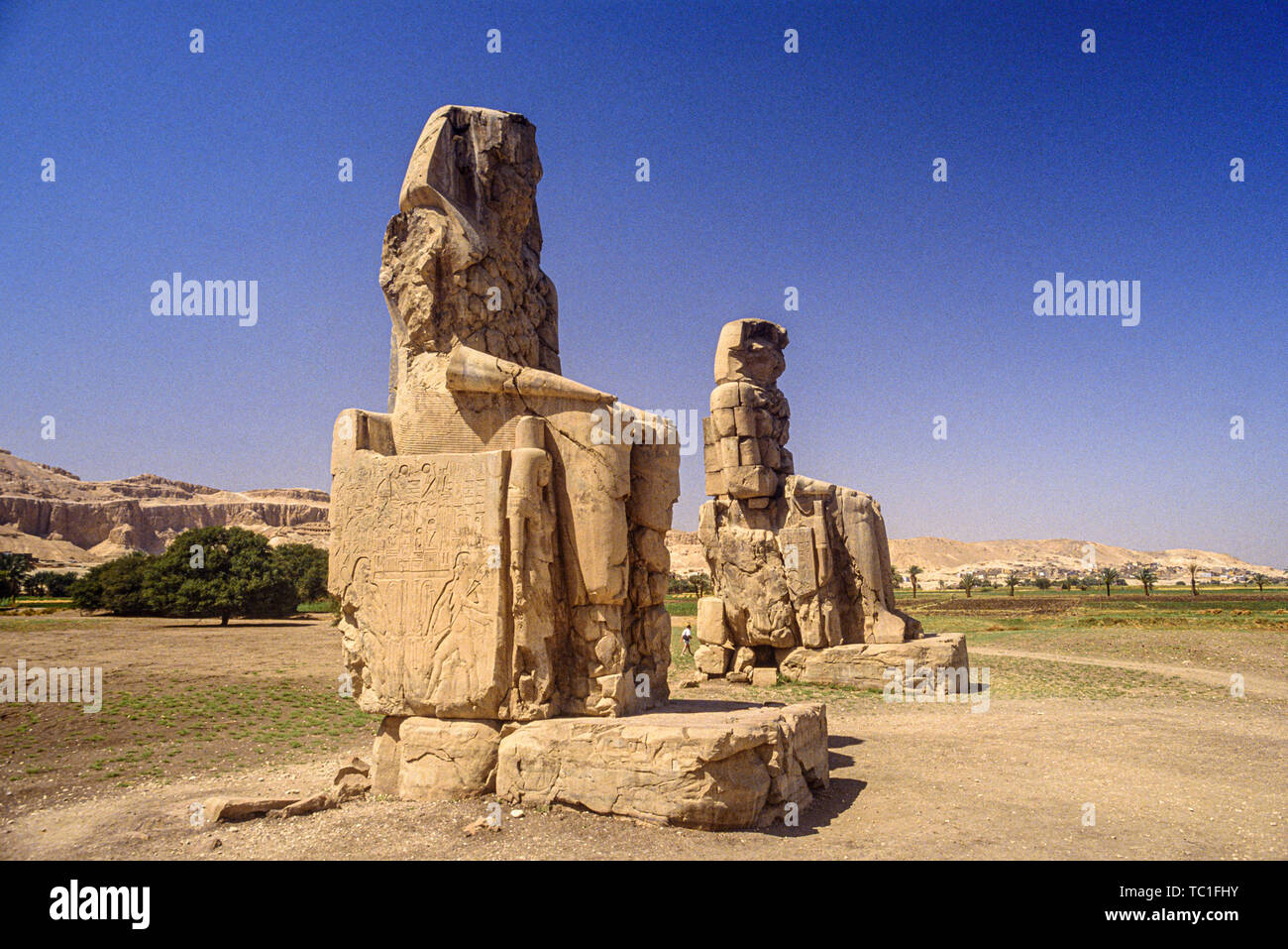 Luxor, Egipto. Los Colosos de Memnon, dos enormes estatuas de piedra del faraón Amenhotep III en la necrópolis tebana permanente en la ribera occidental del Foto de stock