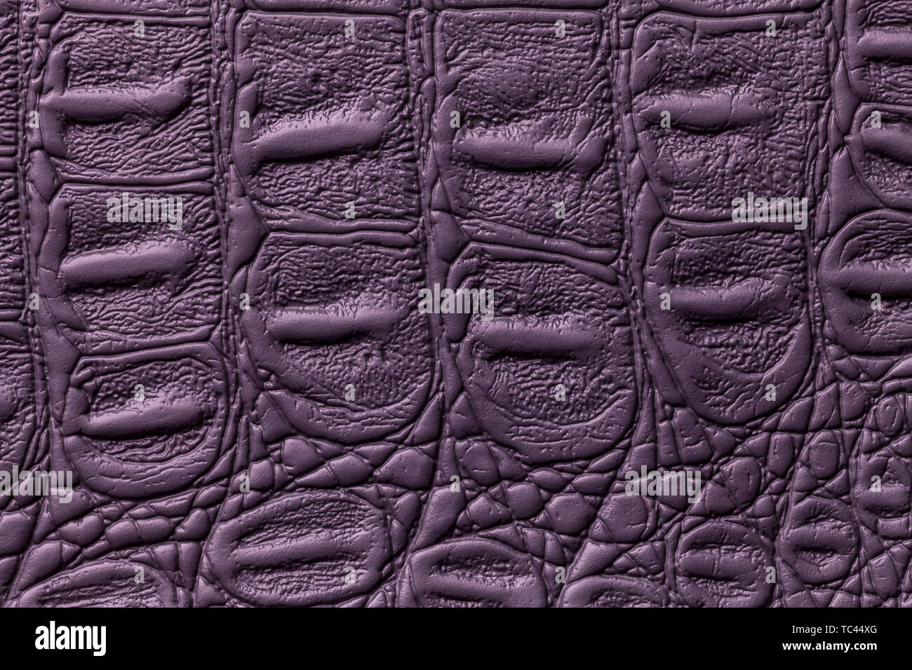 Cuero violeta textura del fondo, primer plano. Púrpura oscuro de piel de  reptil, macro. Estructura de naturaleza textil. Lujo decorativo de  cocodrilo como telón de fondo Fotografía de stock - Alamy