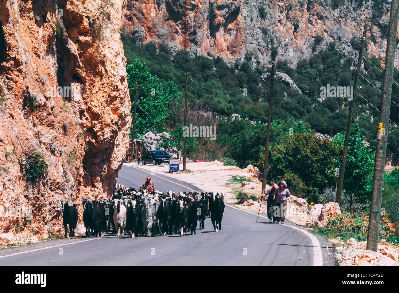 29 de abril de 2017- Geyikbayiri, Turquía: el rebaño de cabras caminando por la carretera con pastor detrás de ellos.Los animales domésticos caminando sobre un camino asfaltado. Foto de stock