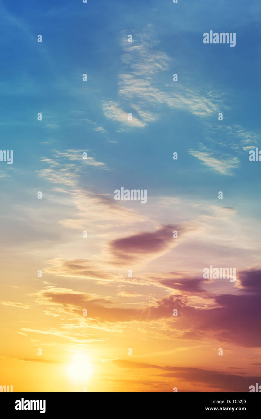 Featured image of post Atardeceres Hermosos Naturales