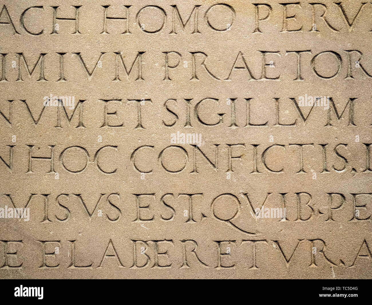 Antiguo texto latino grabado en piedra los caracteres latinos palabras  Fotografía de stock - Alamy