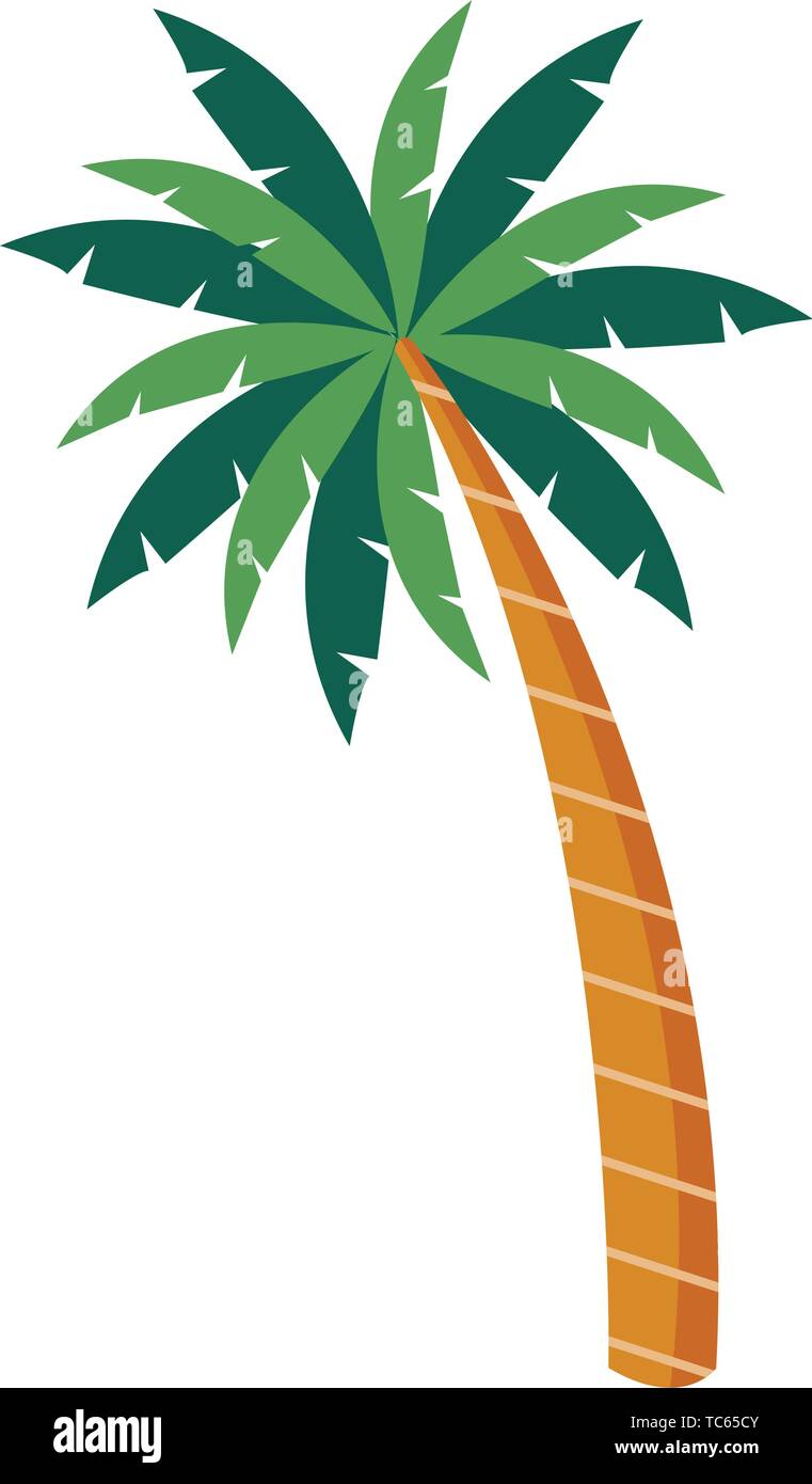 Icono de palmera aislada de dibujos animados Imagen Vector de stock - Alamy Icono de palmera aislada de dibujos animados Imagen Vector de stock - Alamy