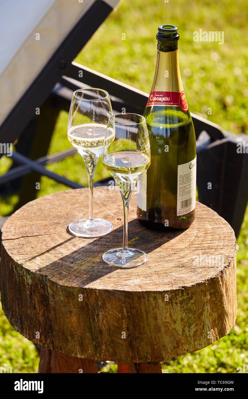 Una botella de champaña y dos copas, caserío vasco, Deba, Gipuzkoa, País  Vasco, España, Europa Fotografía de stock - Alamy