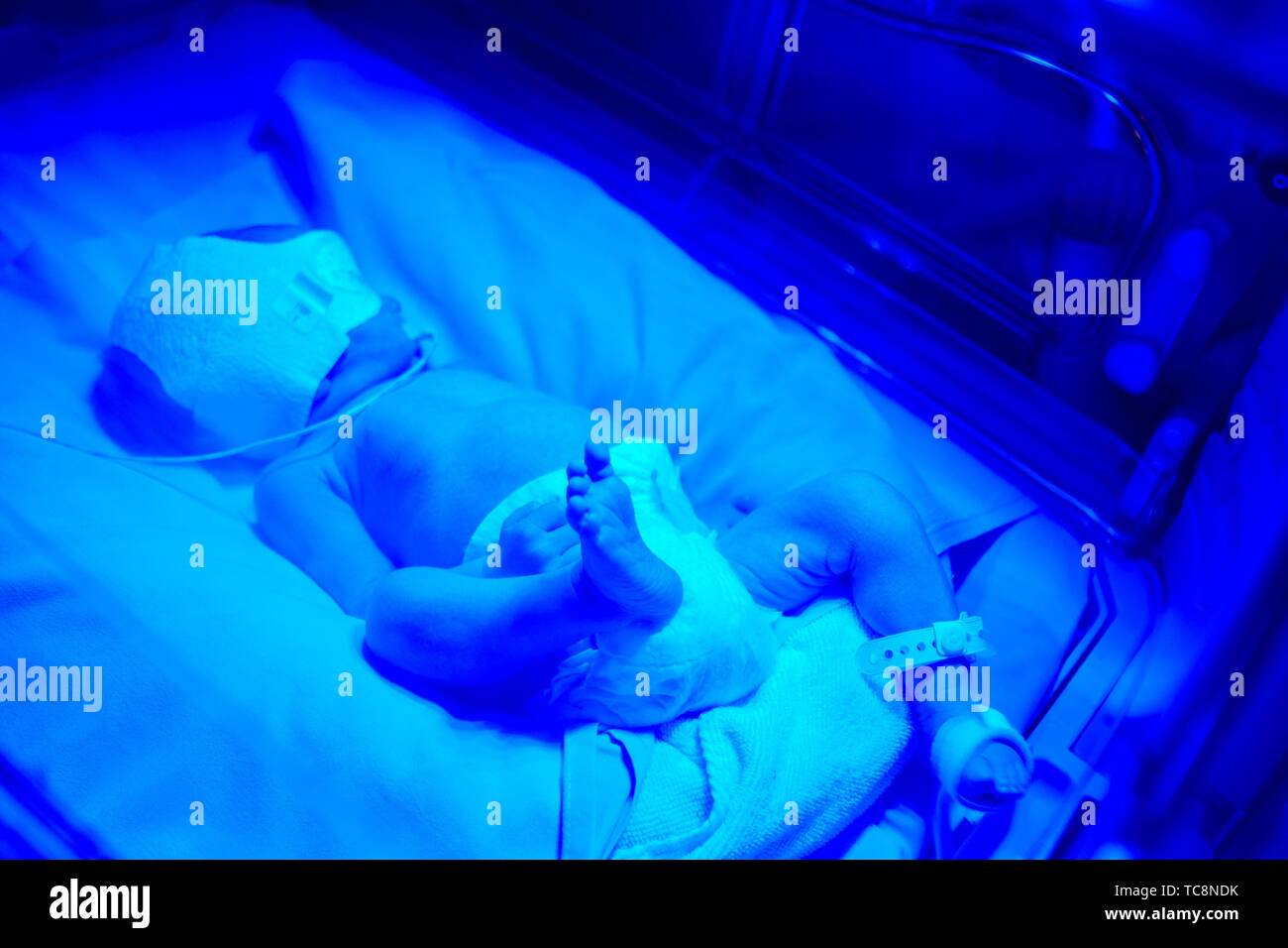 Bebé en incubadora, la fototerapia neonatal, pediatría, asistencia médica, Unidad de Cuidados Intensivos Neonatal, UVI, UCI, Hospital Donostia, San Sebastián, Foto de stock