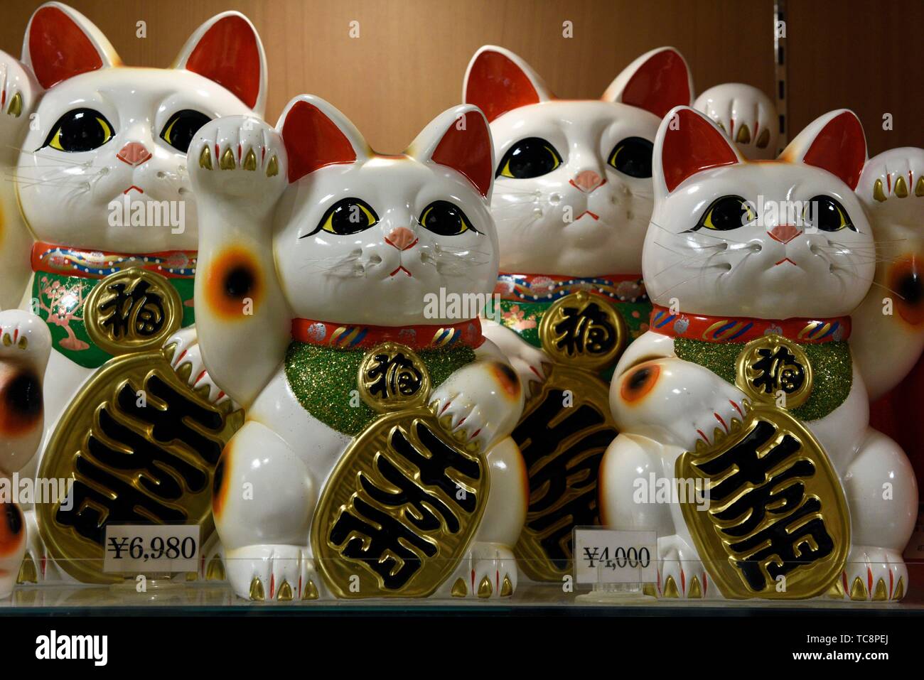 Suerte en miniatura gatos para la venta en Ise, Japón, Asia. Foto de stock