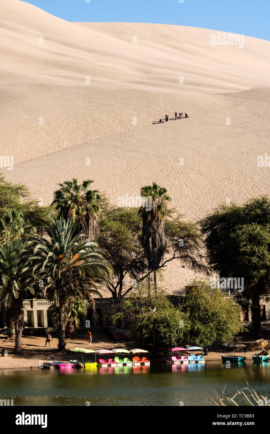 Área Regional de conservación de la laguna de Huacachina. Subtropical