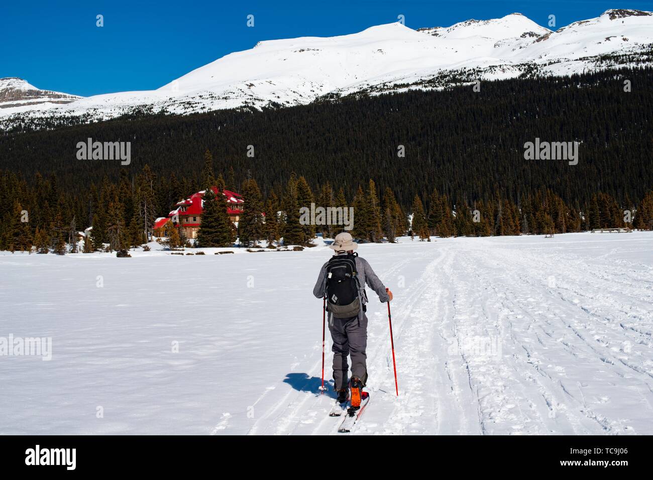 Un hombre, de 67 años, esquís cerca Num-ti-Jah Lodge en el lago Bow, el Parque Nacional Banff, Alberta, Canadá. Foto de stock