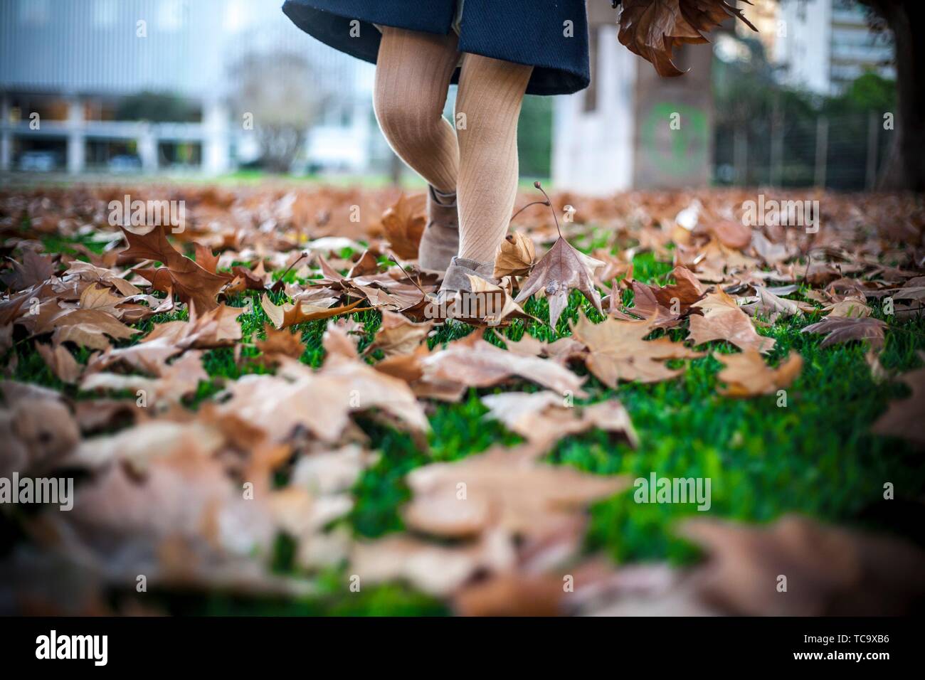 Niño Niña caminar sobre alfombras de hojas caídas en el parque. El otoño y los niños concepto. Foto de stock