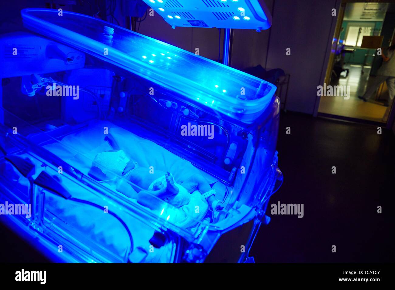 Bebé en incubadora, la fototerapia neonatal, pediatría, asistencia médica, Unidad de Cuidados Intensivos Neonatal, UVI, UCI, Hospital Donostia, San Sebastián, Foto de stock