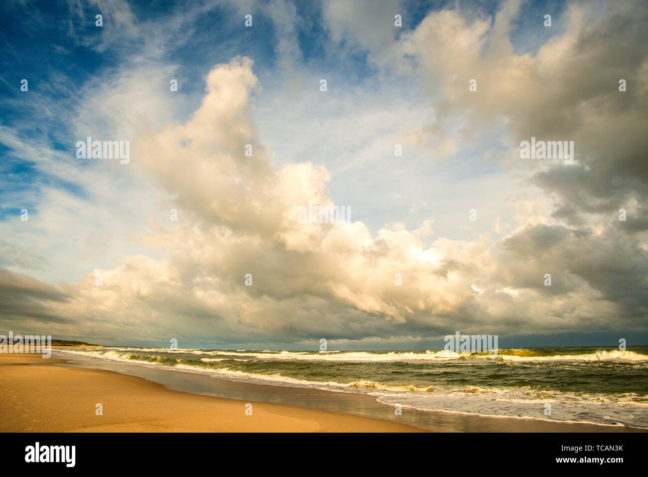Solitaria playa del Mar Báltico con el cielo nublado y el surf. Foto de stock