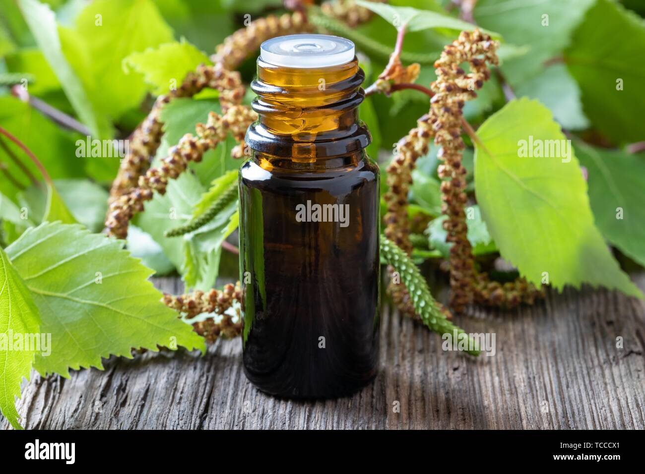 Una botella de aceite esencial con ramas de abedul dulce. Foto de stock