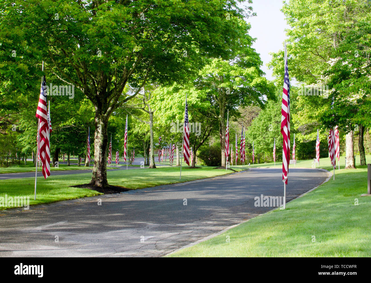 Las banderas americanas revestimiento road en el Cementerio Nacional de Massachussets para Memorial Day Foto de stock