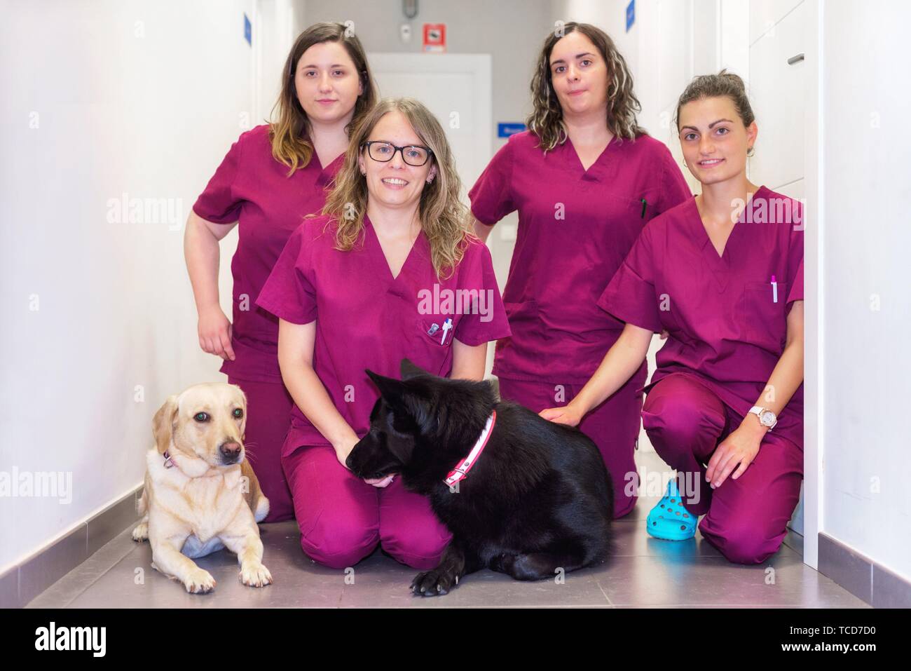 Equipo veterinario fotografías e imágenes de alta resolución - Alamy