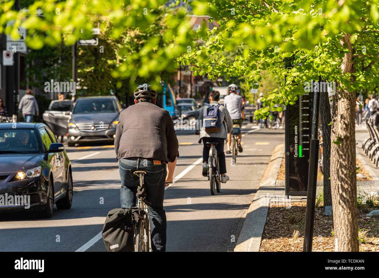 Montreal, Canadá - 6 de junio de 2019: la gente está andando en bicicleta  en bici, en Laurier Street, en el barrio de Plateau Fotografía de stock -  Alamy