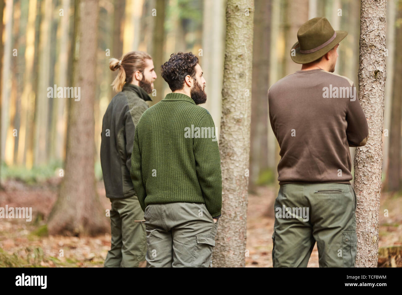 Förster team espera árboles en un distrito forestal con la silvicultura sostenible Foto de stock