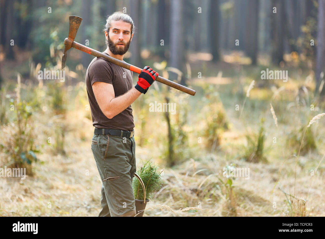 La silvicultura o joven guardaparque en la reforestación para la silvicultura sostenible Foto de stock