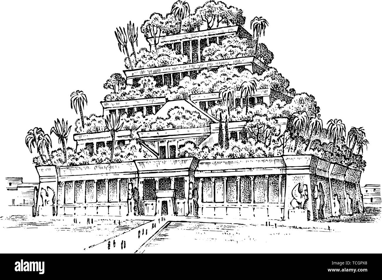 Siete Maravillas del Mundo Antiguo. Jardines Colgantes de Babilonia. La  gran construcción de los asirios. Grabado dibujado a mano vintage sketch  Imagen Vector de stock - Alamy